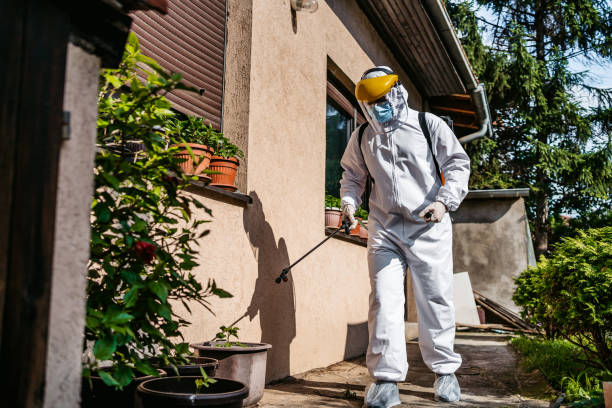 Best Wildlife Control Services  in South Jacksonvle, IL