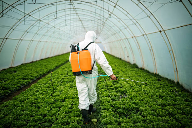 Best Pest Control Treatment  in South Jacksonvle, IL
