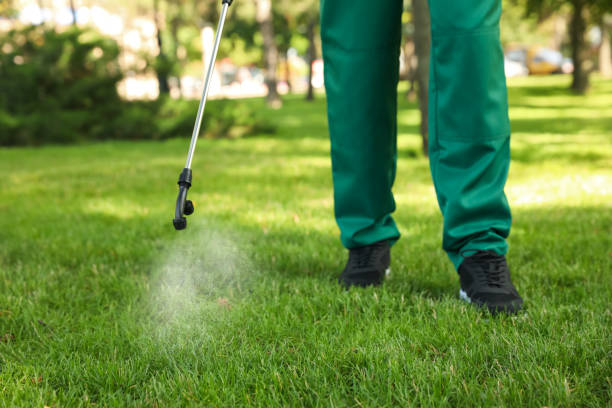 Best Bed Bug Extermination  in South Jacksonvle, IL