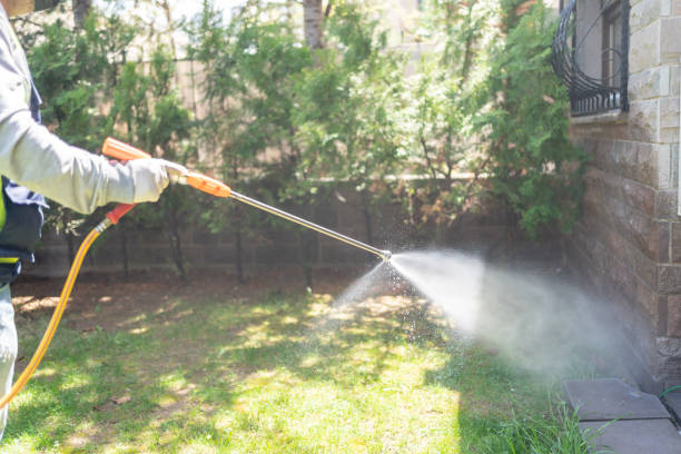Best Affordable Pest Control Services  in South Jacksonvle, IL